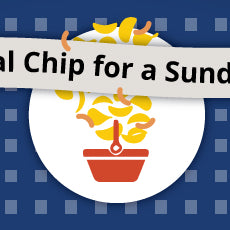 The Ideal Chip For A Sunday Picnic In The Park